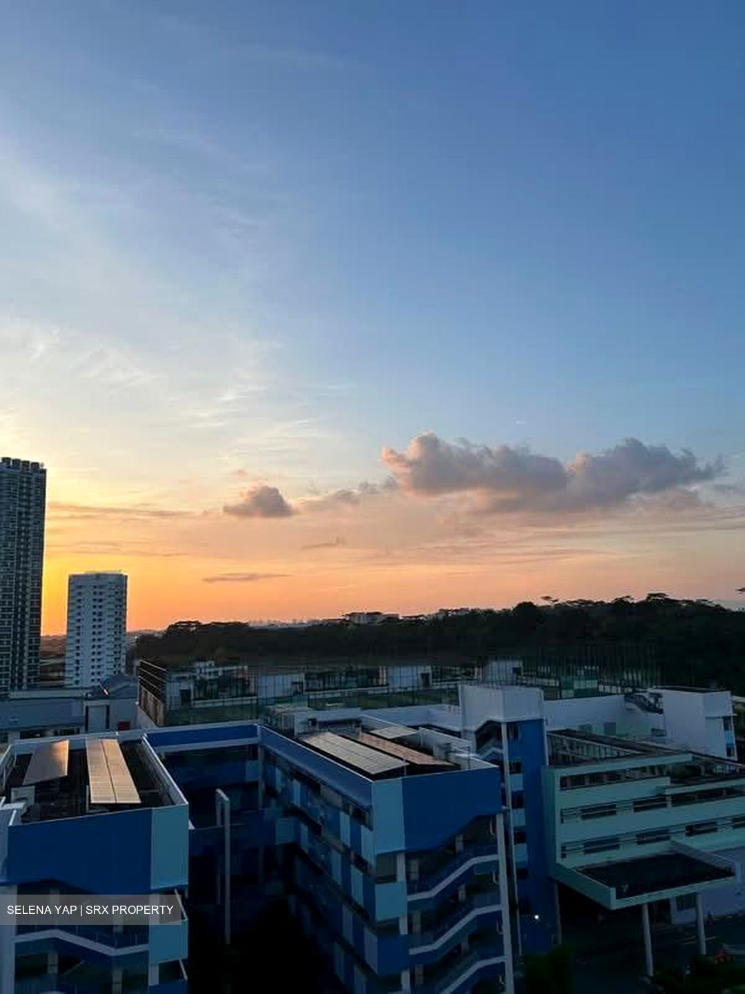 Blk 550A Segar Palmview (Bukit Panjang), HDB 4 Rooms #536431001